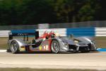 Audi R15 TDi ALMS 12hr of Sebring 2009 года